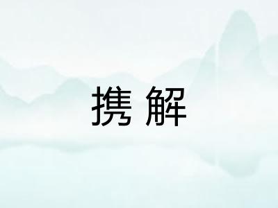 携解