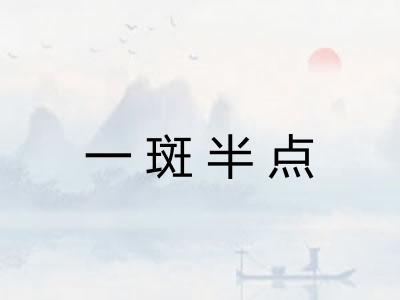一斑半点