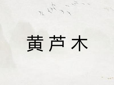 黄芦木