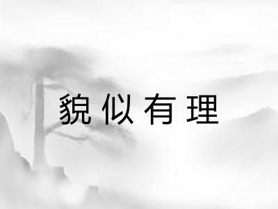 貌似有理