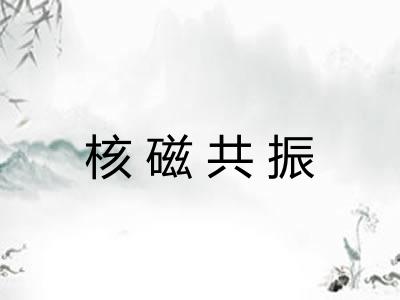 核磁共振