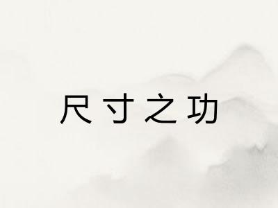 尺寸之功