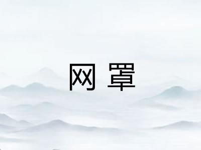 网罩
