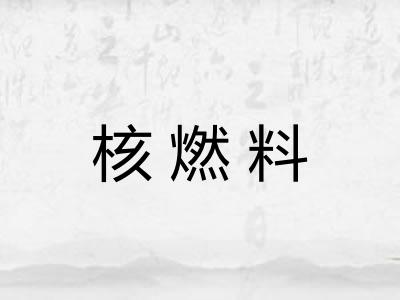 核燃料