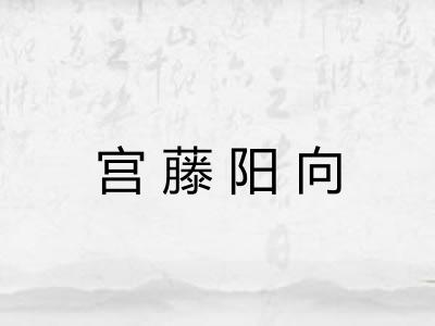 宫藤阳向