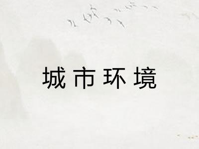 城市环境
