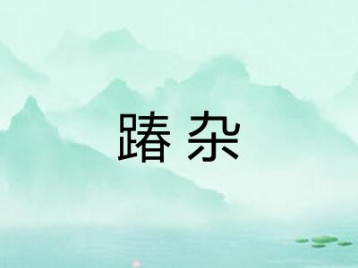踳杂