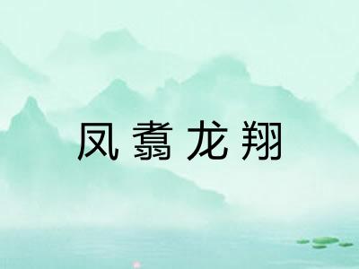 凤翥龙翔