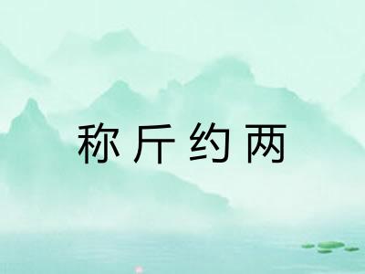 称斤约两
