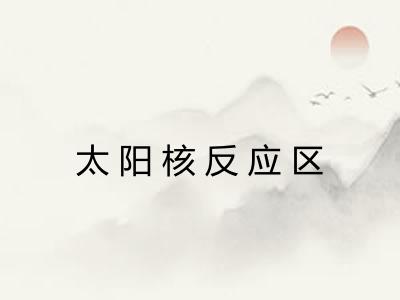 太阳核反应区