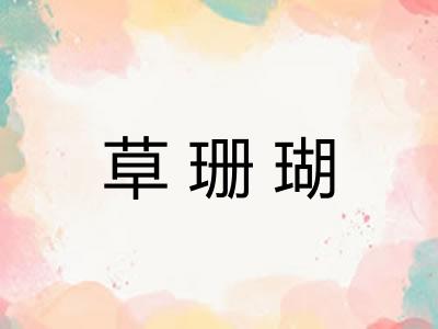 草珊瑚