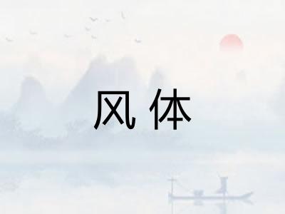 风体