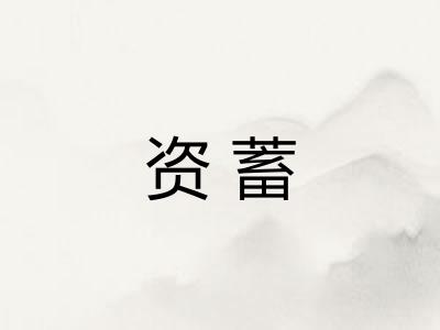 资蓄