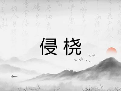 侵桡