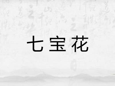七宝花