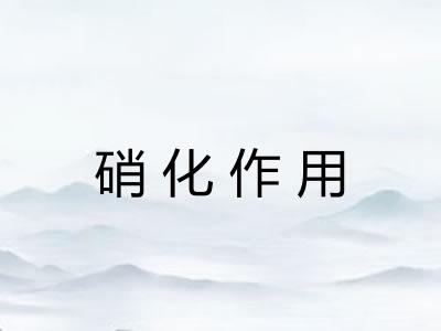 硝化作用
