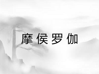 摩侯罗伽