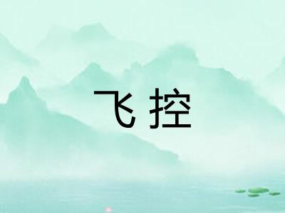 飞控