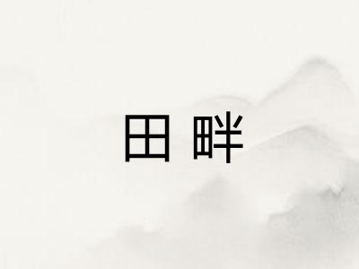 田畔