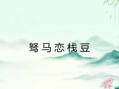 驽马恋栈豆