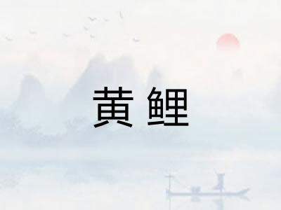 黄鲤