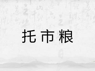 托市粮