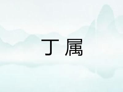 丁属