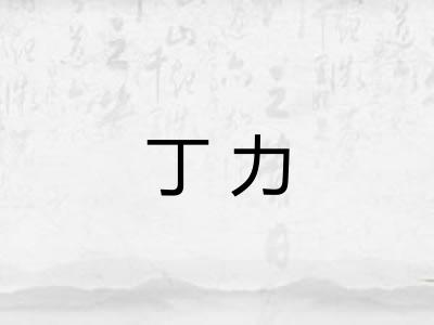 丁力