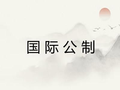 国际公制