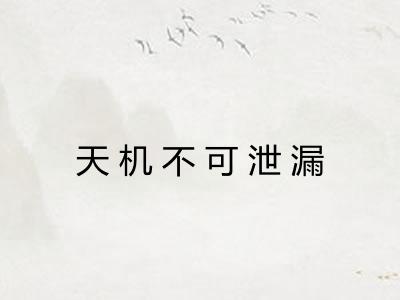 天机不可泄漏