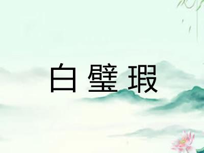 白璧瑕