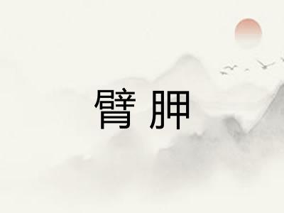 臂胛