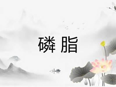 磷脂