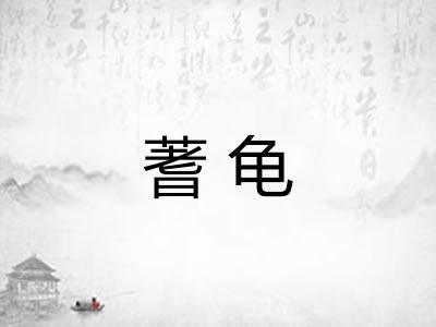 蓍龟