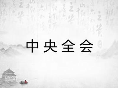 中央全会