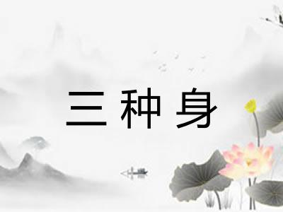 三种身
