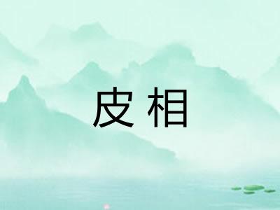 皮相