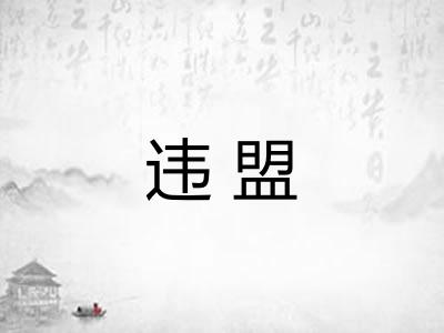 违盟