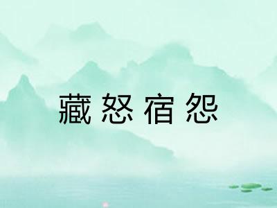 藏怒宿怨