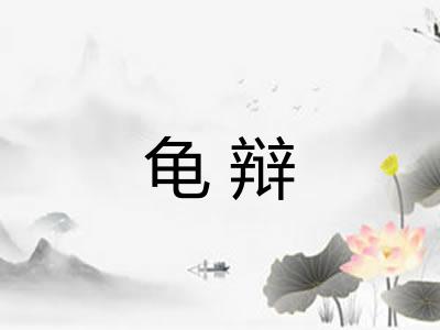 龟辩