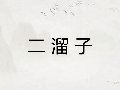 二溜子