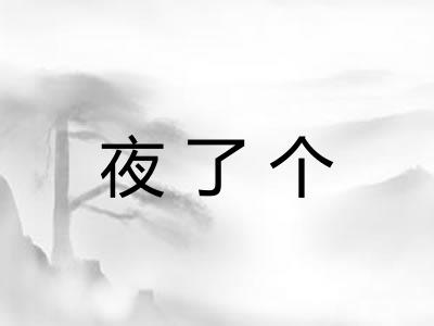 夜了个