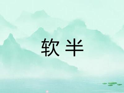 软半