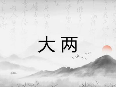 大两