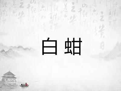 白蚶