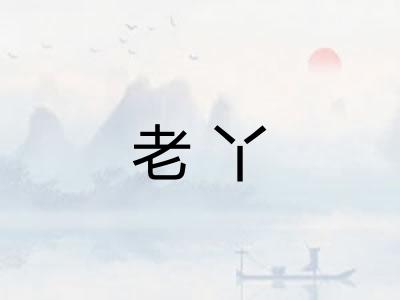 老丫
