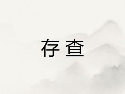 存查