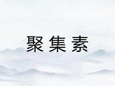 聚集素