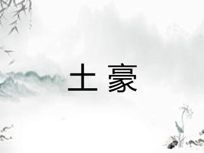 土豪