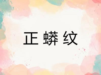 正蟒纹